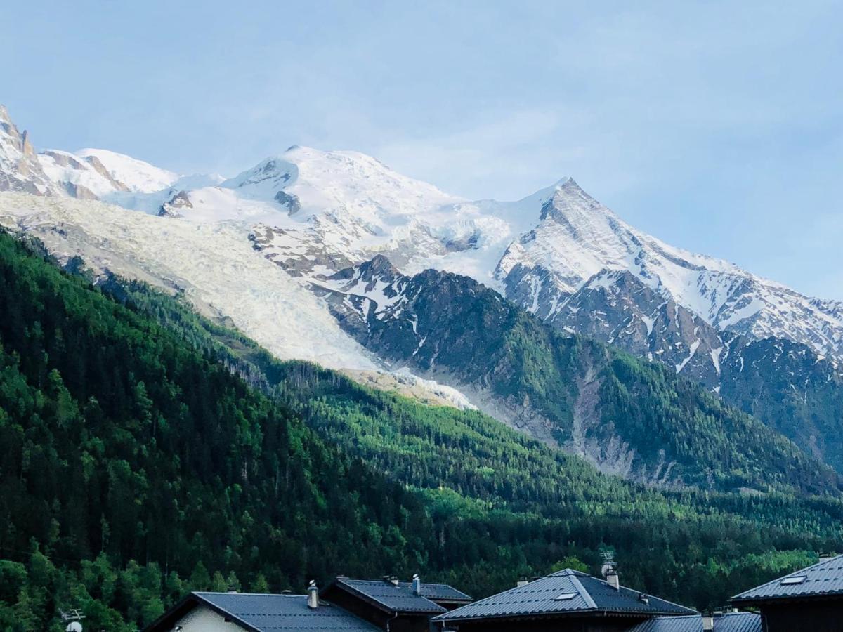 Mont Blanc 43, Vue Mont Blanc , Balcon, Parking Apartment Шамони Екстериор снимка