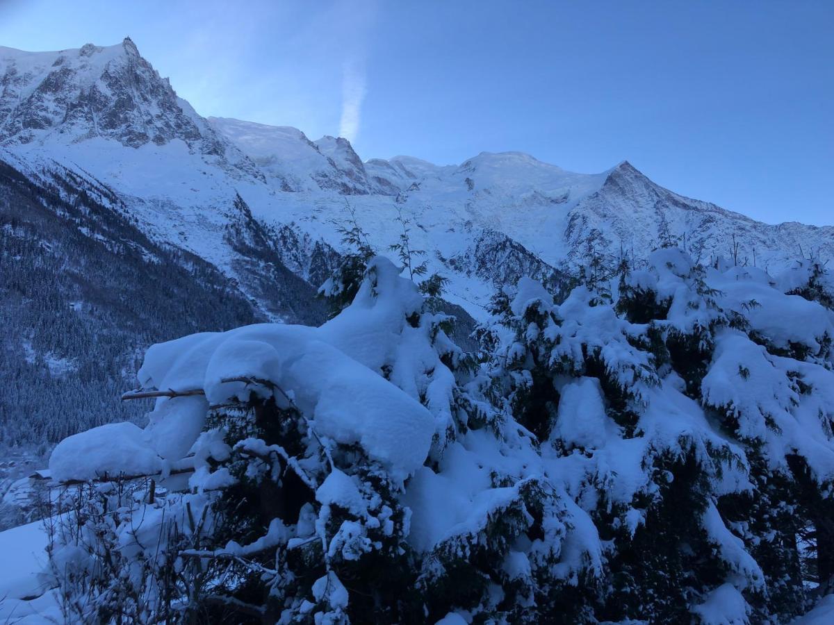 Mont Blanc 43, Vue Mont Blanc , Balcon, Parking Apartment Шамони Екстериор снимка